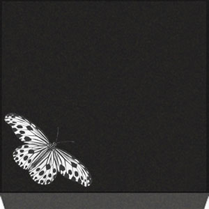 Infant Marker - Butterfly